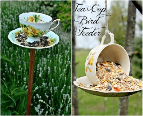 the bird feeder is made from an old teacup