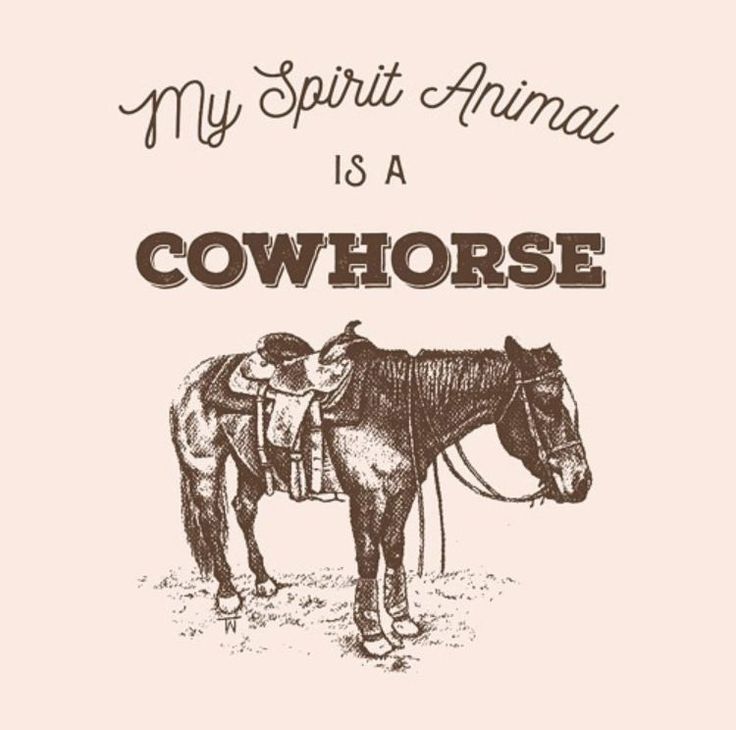 a horse with the words my spirit animal is a cowhorse on it's back