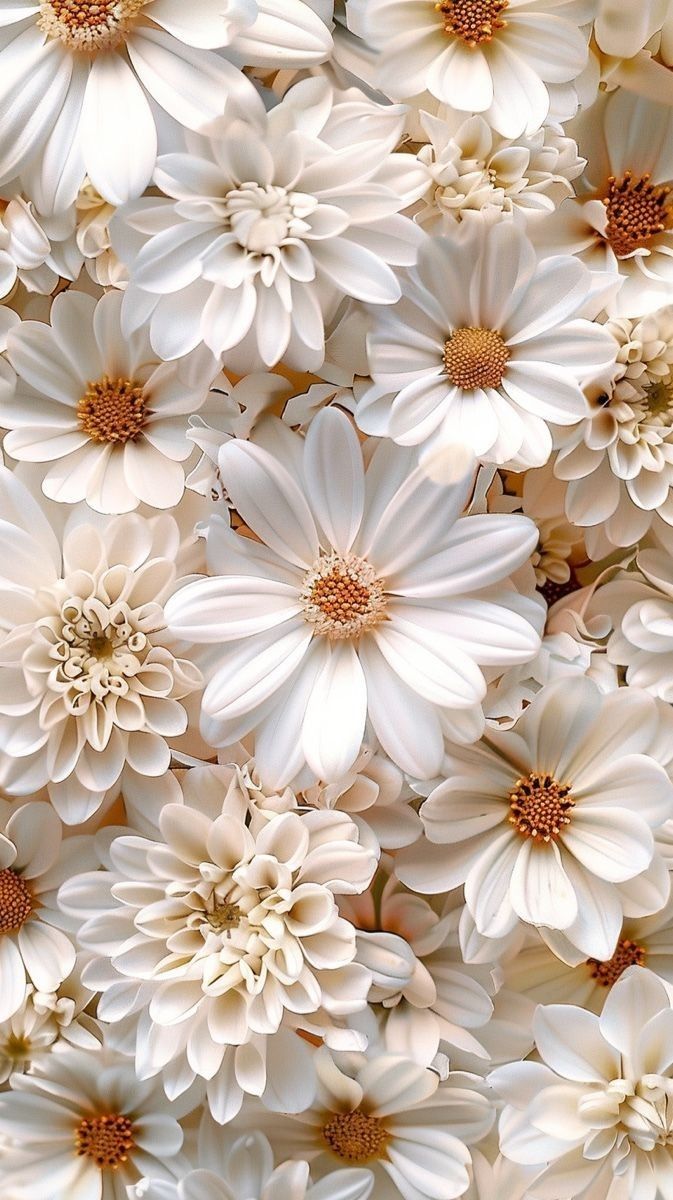 many white flowers are grouped together in this close - up photo, and the petals appear to be very large