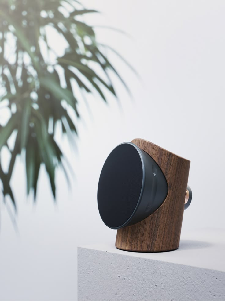 a wooden speaker sitting on top of a white surface next to a plant in the background