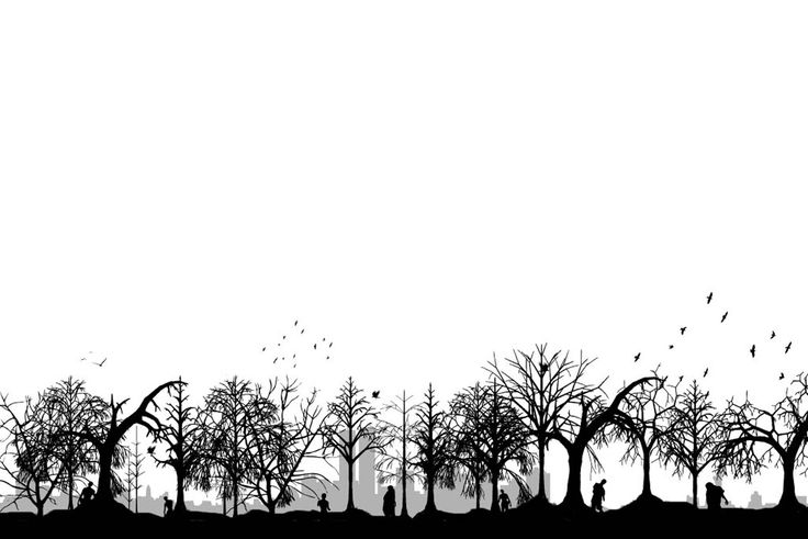 black and white silhouettes of trees with birds flying in the sky