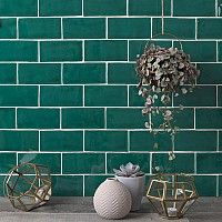 three vases with plants in front of a green brick wall, one has a succulent plant