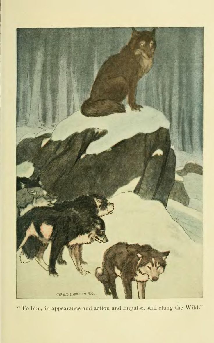 an illustration of three wolfs in the snow