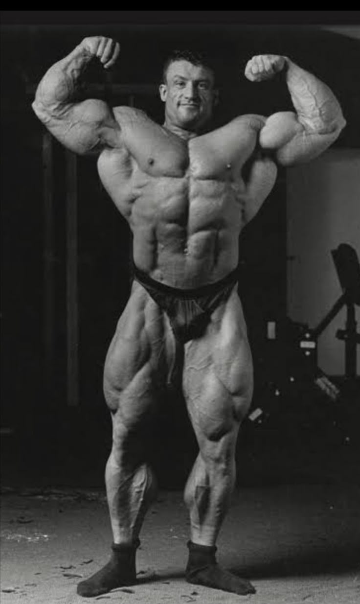 Dorian Yates Workout, Bodybuilder Wallpaper, Arnold Schwarzenegger Muscle, Markus Ruhl, Lee Haney, Gym Motivation Wallpaper, Best Bodybuilder, Arnold Schwarzenegger Bodybuilding, Schwarzenegger Bodybuilding