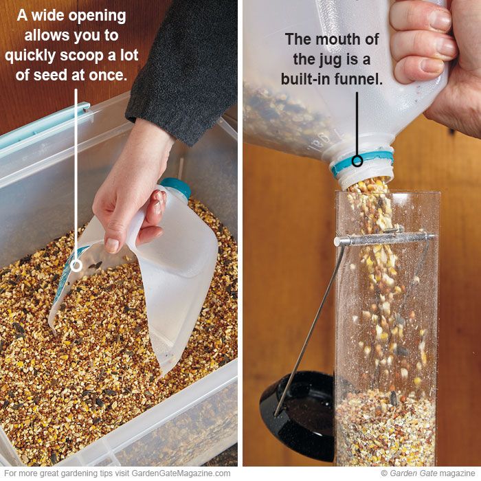 Make filling bird feeders a snap with this helpful DIY scoop. Chicken Feeder, Coop Plans, Building A Chicken Coop, Chicken Lady, Mini Farm, Chicken Coop Plans, Backyard Chicken Coops, Diy Birds, Chicken Diy