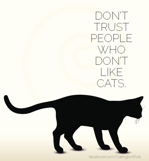 a black cat with the words don't trust people who don't like cats