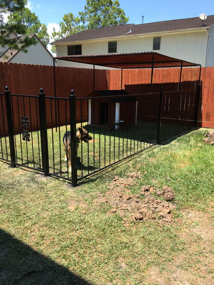 a dog is standing behind a fence in the yard with his head through the gate