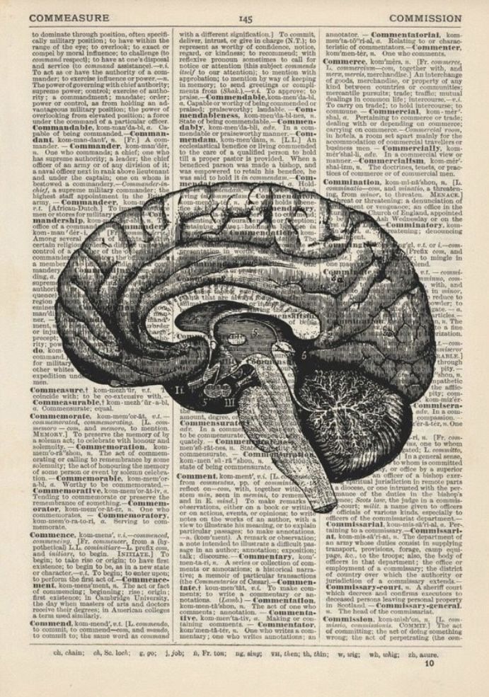 an old book page with a diagram of the human brain