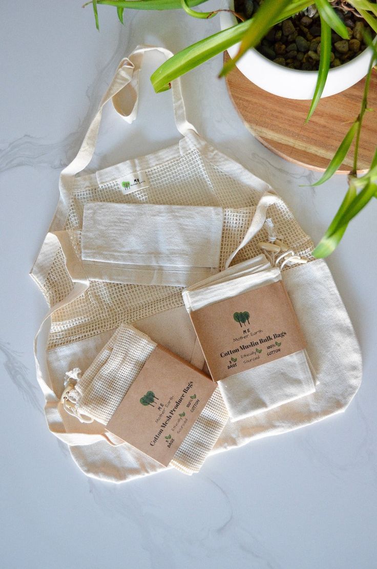 three tea bags sitting next to a potted plant