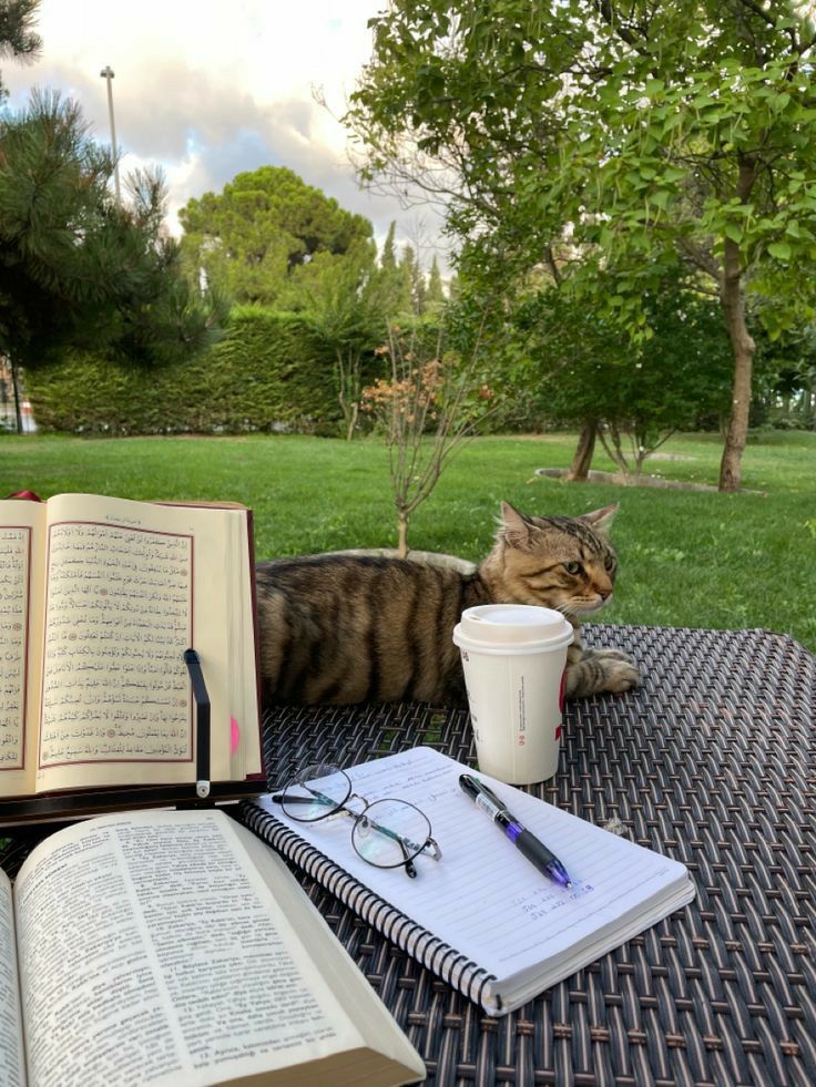 a cat laying on top of a table next to an open book and coffee cup