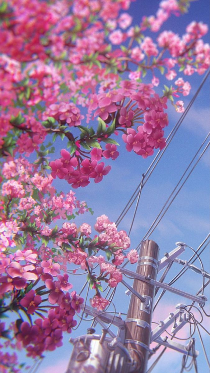 pink flowers are growing on the power lines