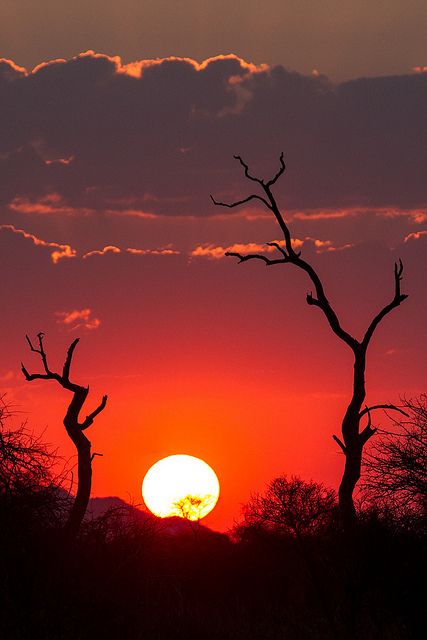 the sun is setting behind some trees