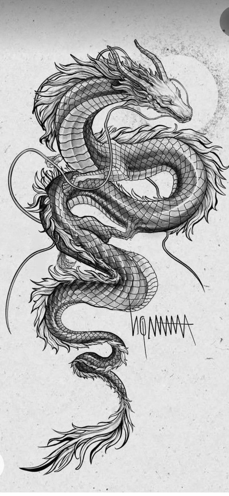 a black and white drawing of a dragon with the word demon on it's chest