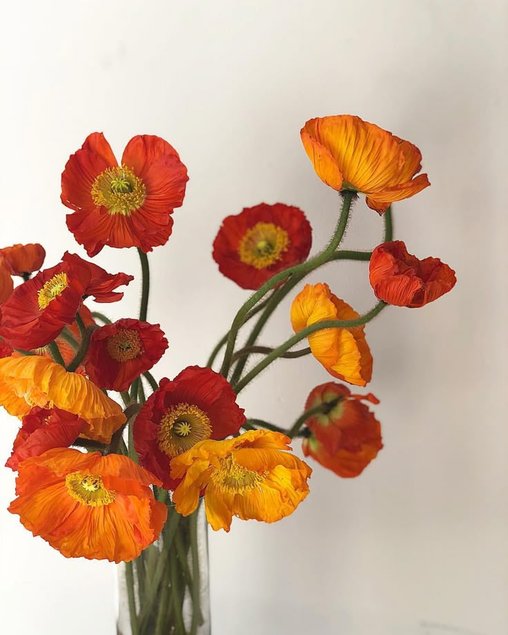 an arrangement of orange and red flowers in a glass vase on a white table top