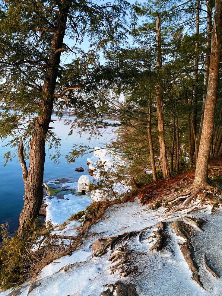 snow covered ground next to trees and water in the distance with rocks on either side