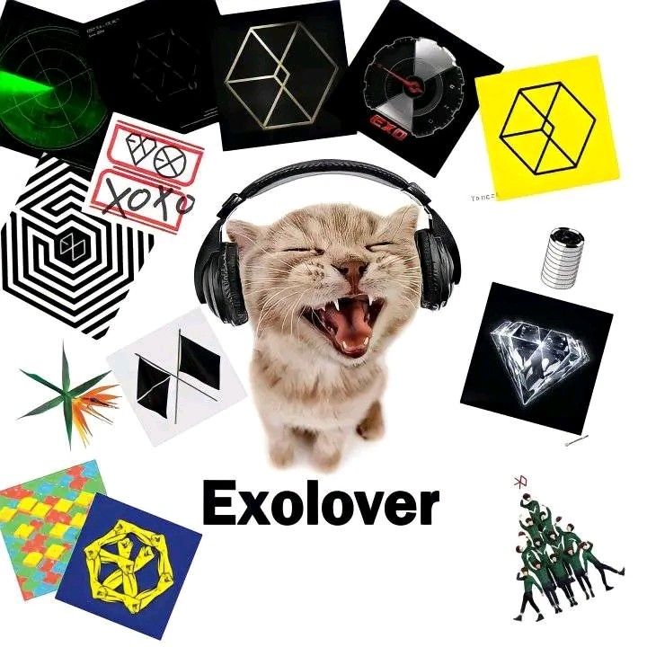 an image of a cat with headphones on and the words exolver above it