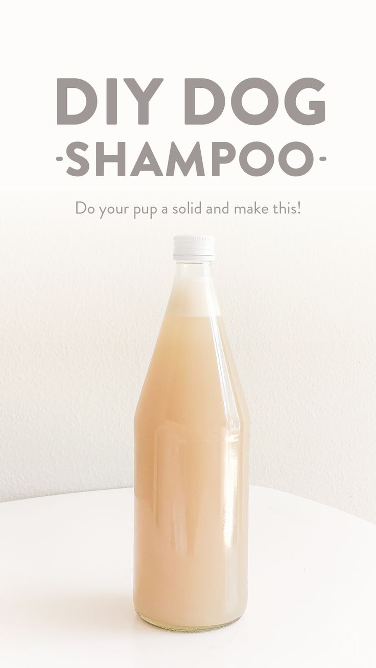 a bottle of dog shampoo sitting on top of a table next to a white wall