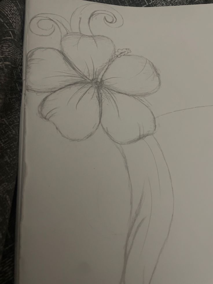 a pencil drawing of a flower on paper