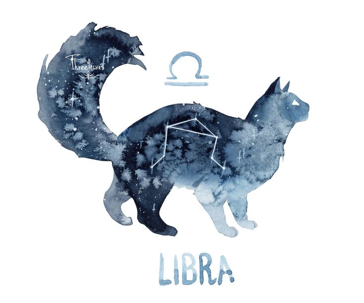 a watercolor drawing of a cat with the zodiac sign libra on it's back