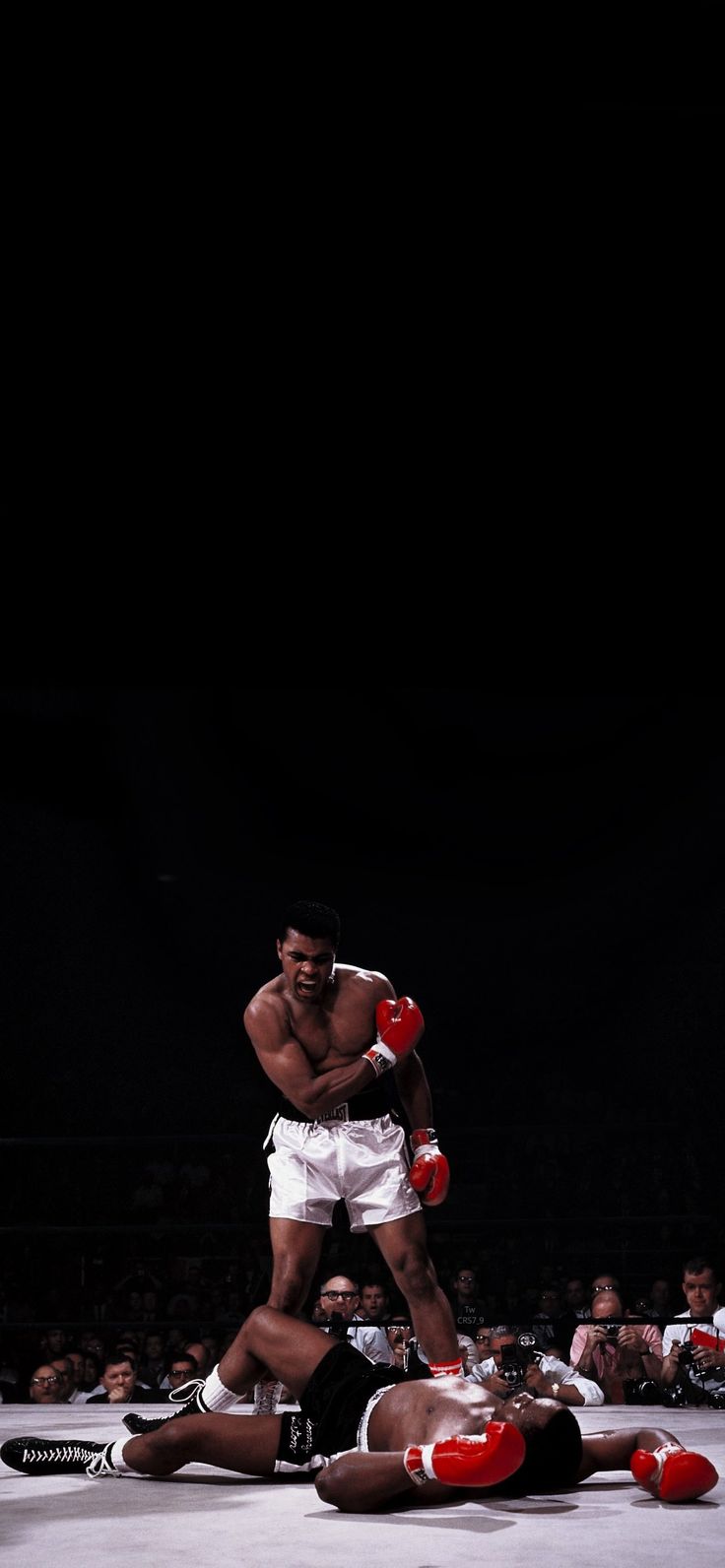 two men in boxing stance on the ground