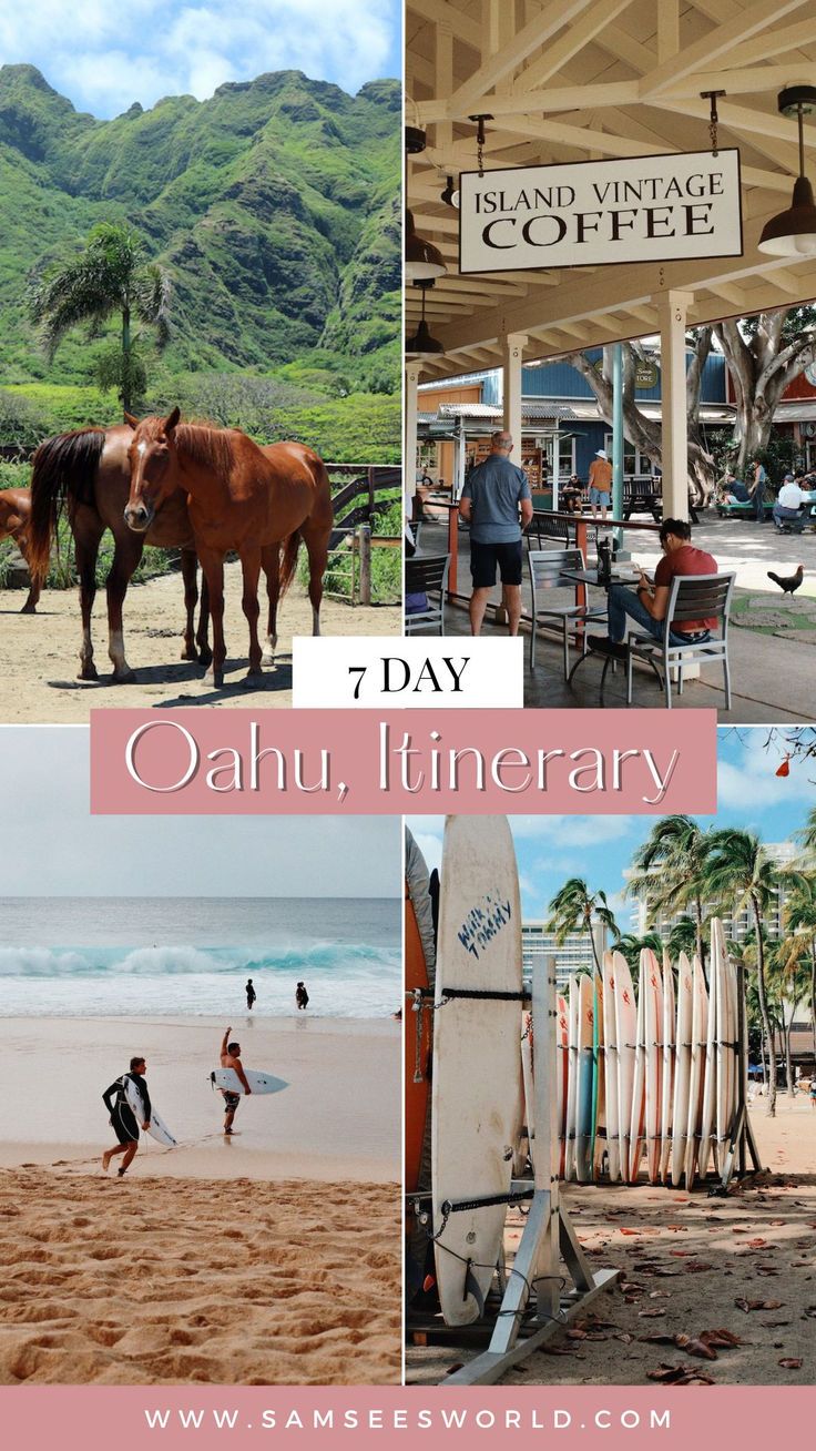 7 Day Oahu Itinerary | Ultimate Hawaii Itinerary Hawaii In February, Honolulu Hawaii Vacation, Oahu Things To Do, Oahu Itinerary, Hawaii Vacation Oahu, Best Hawaiian Island, Hawaii Trip Planning, Island To Visit, Hawaii Itinerary