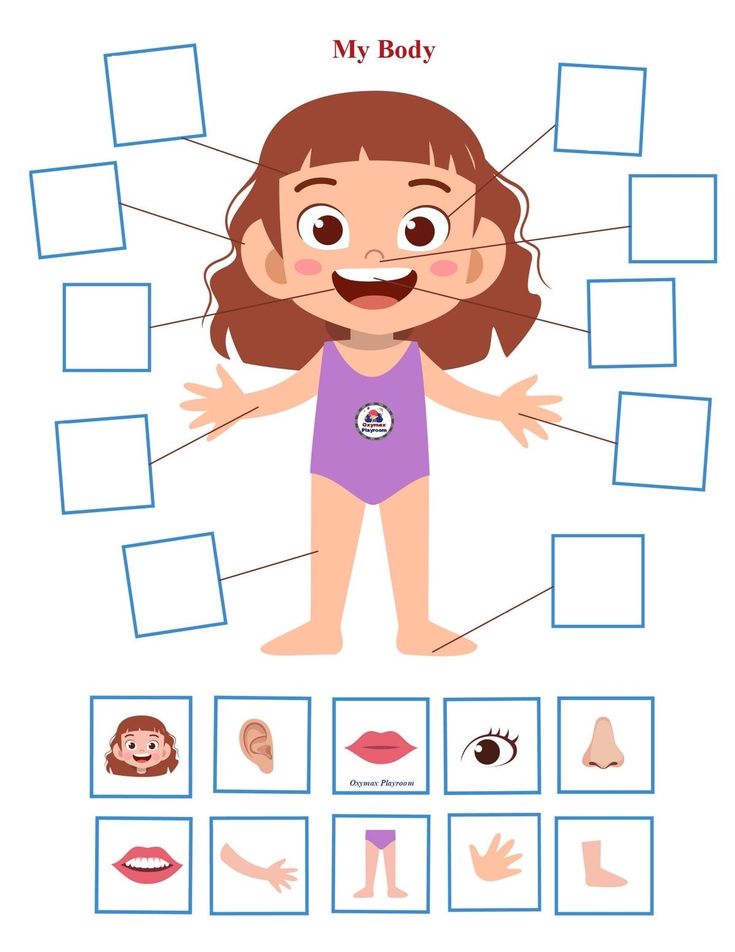 the body and parts of a child's face