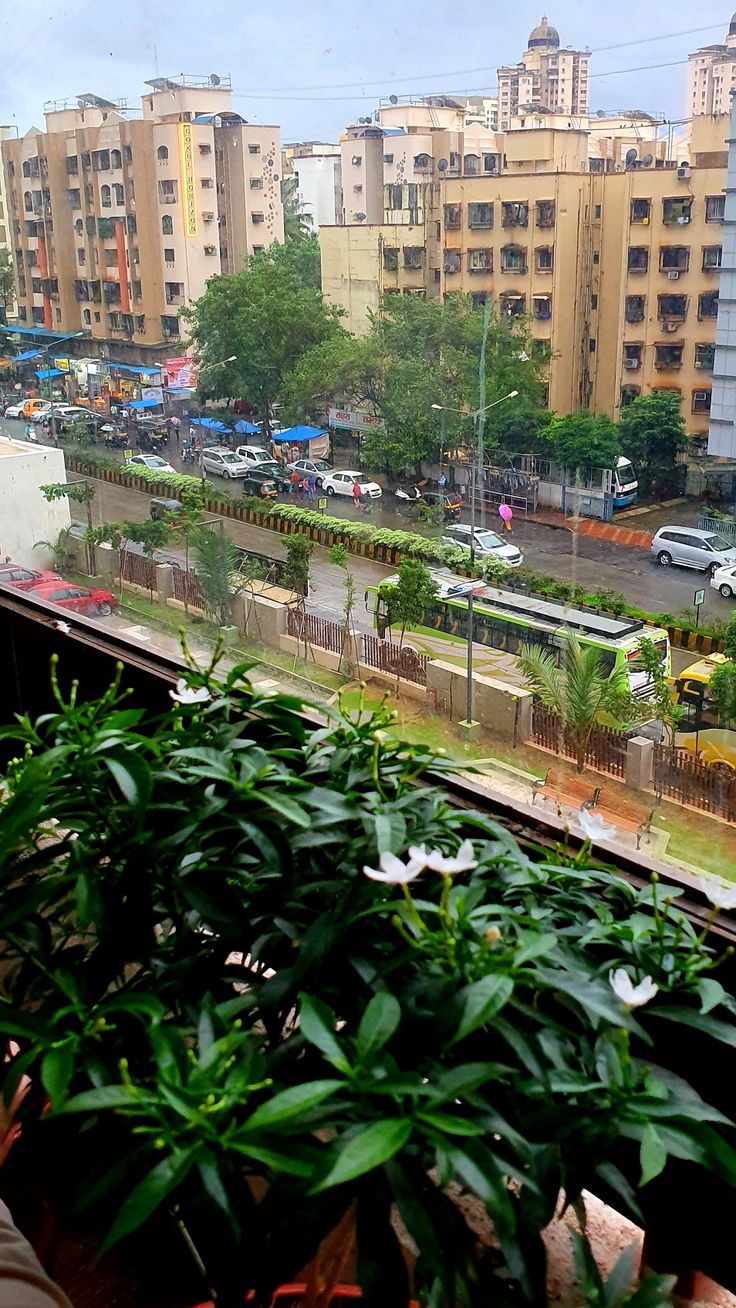 a view of a city street from an apartment window with green plants in the foreground