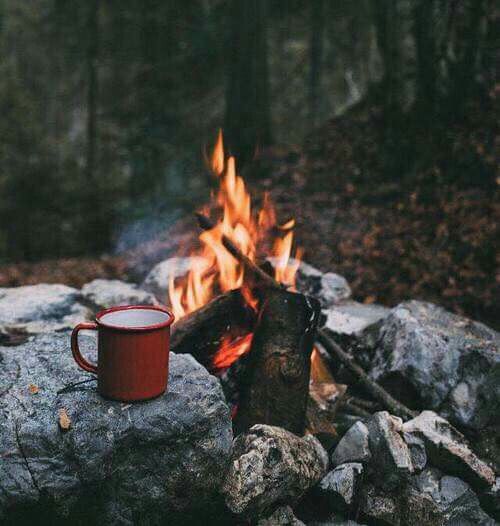 a red coffee cup sitting on top of a fire in the middle of a forest