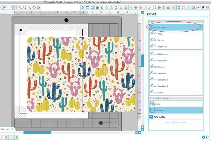 an image of a computer screen with a cactus pattern on it