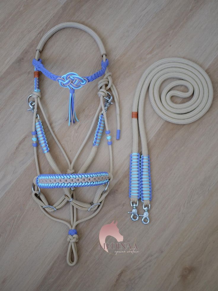 a horse bridle and reins on a wooden floor