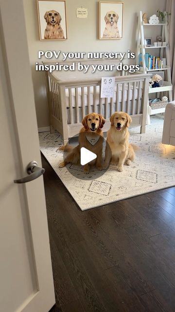 two dogs sitting on the floor in front of a baby crib with an ad about pov your nursery is inspired by your dogs