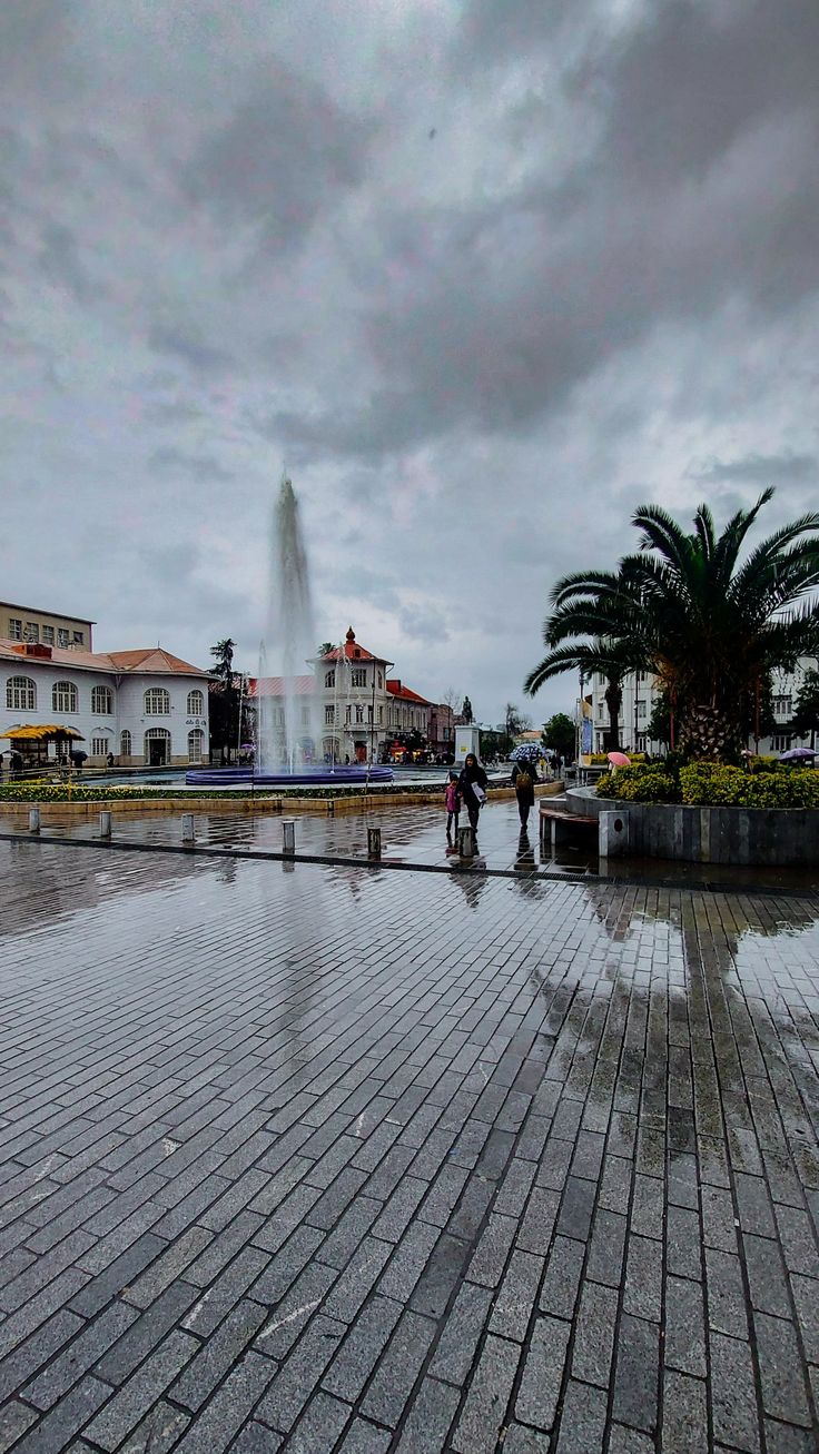 two people are standing in front of a fountain on a cloudy day with palm trees