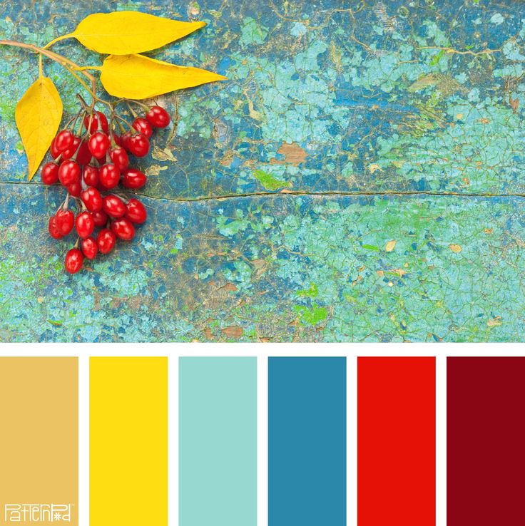 red berries and yellow leaves on a blue surface with color swatches in the background