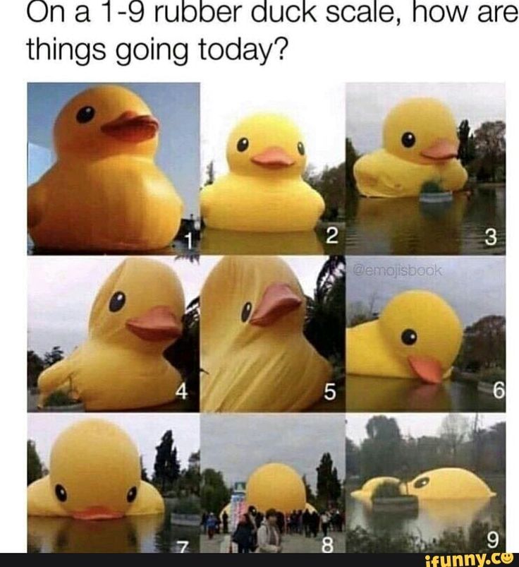 an inflatable rubber duck sitting on top of a body of water with the words so, on a 1 to 9 rubber duck scale, how are things today?