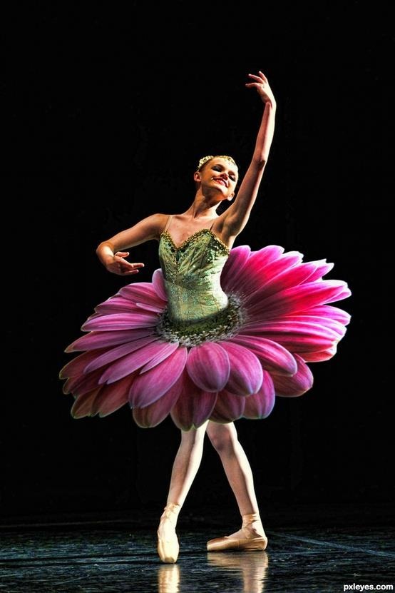 a ballerina in a tutu with the words happy morning