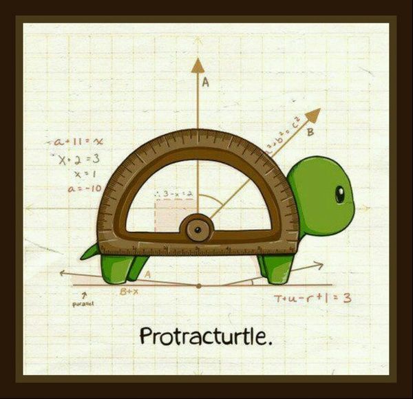 a drawing of a turtle driving a car with the words protracturite on it