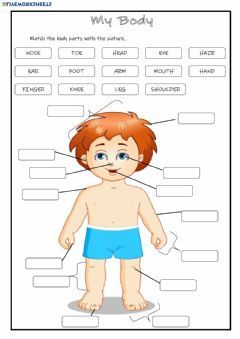 the body and parts of a child's body with labels for each individual part