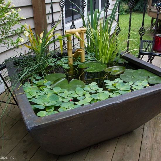 a planter filled with water lilies sitting on top of a wooden deck next to a house