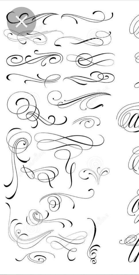 the different types of swirls and curves in calligraphy, which are drawn by hand