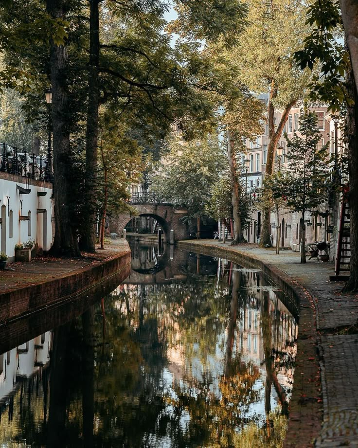 a canal runs through the center of a city with trees and buildings on both sides