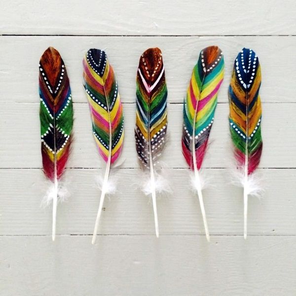 four colorful feathers are lined up on a white background with some toothpicks in the foreground