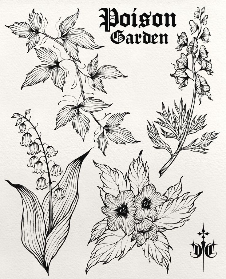 some flowers and leaves on a white paper with the words poison garden written in black ink