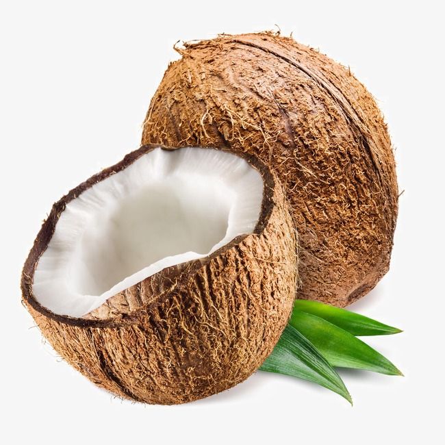 two halves of coconuts with leaves on the side and one half cut in half