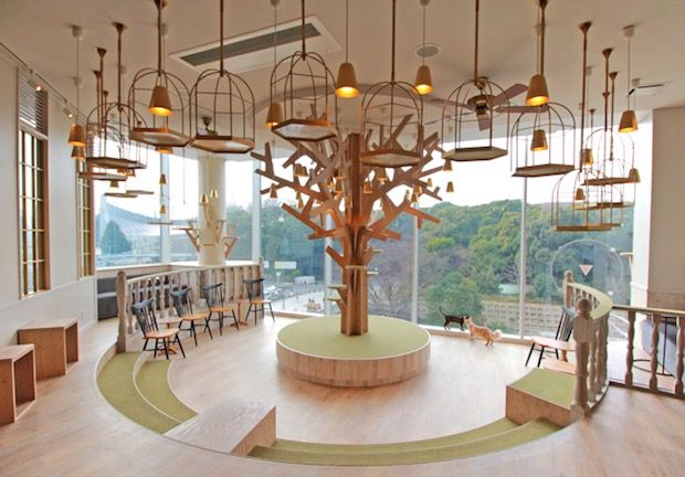 a room filled with lots of chairs and a tree in the middle of it's center