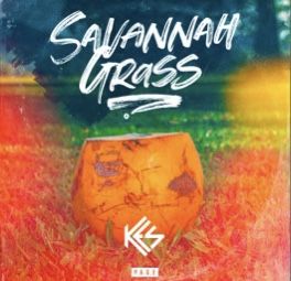 the album cover for savannah grass, which features an orange pot with graffiti on it