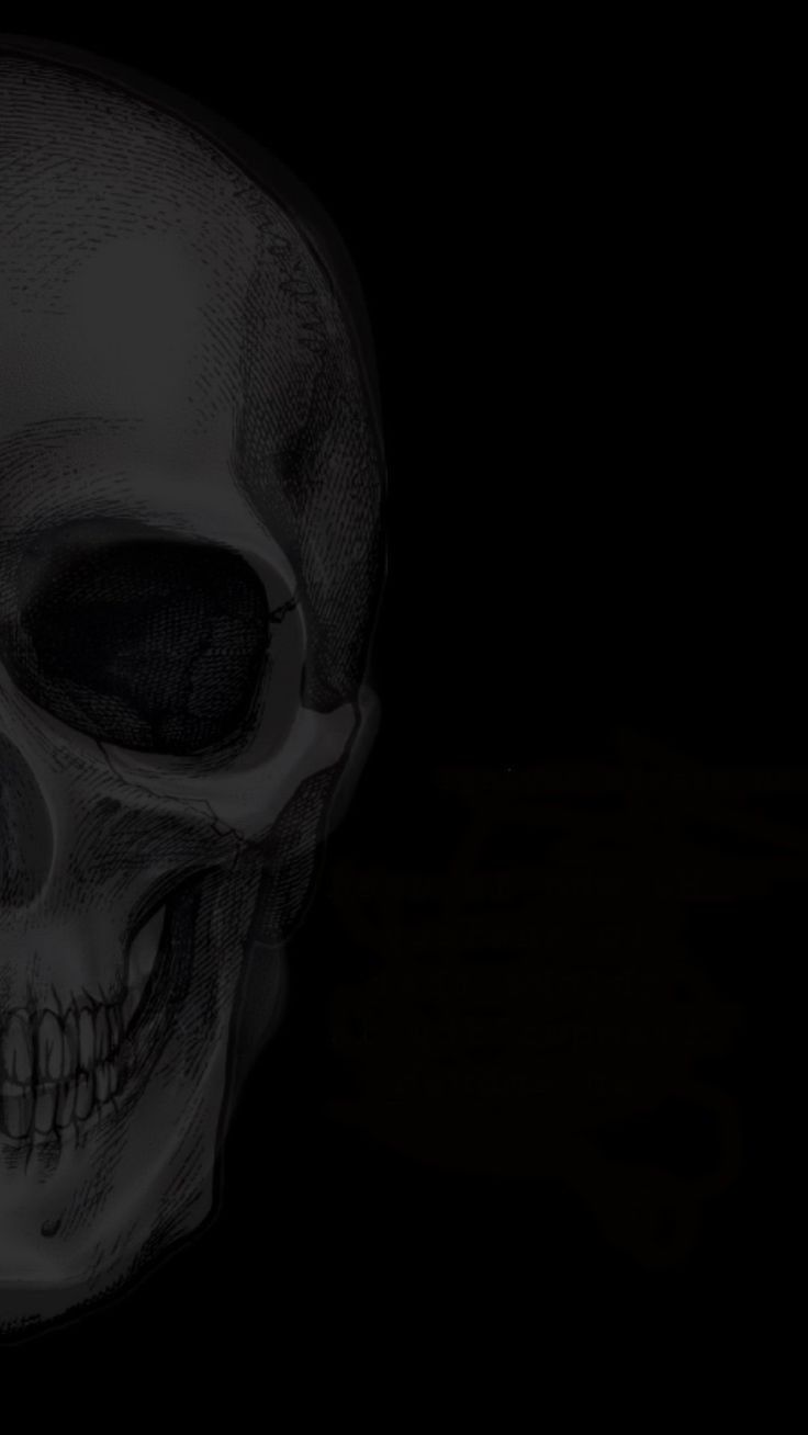 a black and white photo of a skull in the dark