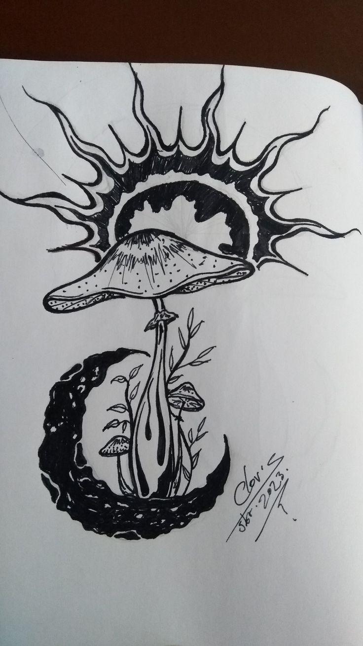 an ink drawing of a mushroom with sun coming out of it's center and on top of another mushroom