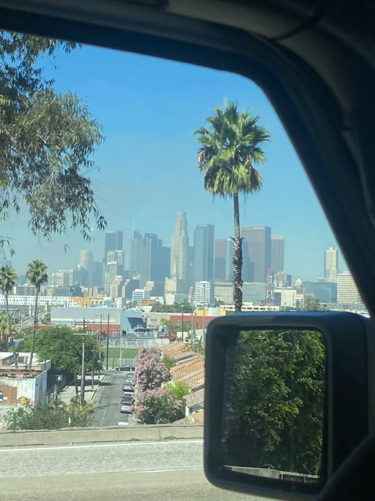 a view from inside a car looking at the city and palm trees in the foreground