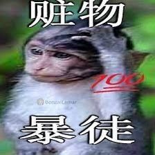 a monkey with chinese writing on it's face and in the background is an image of