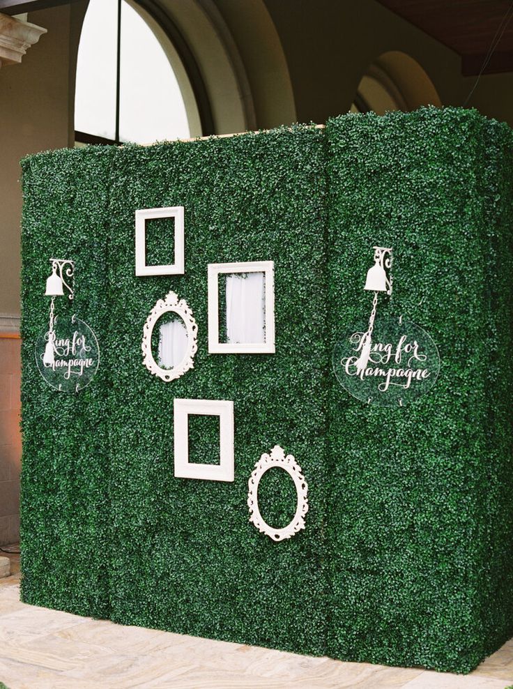 an artificial green wall with white frames and pictures on it in front of a building